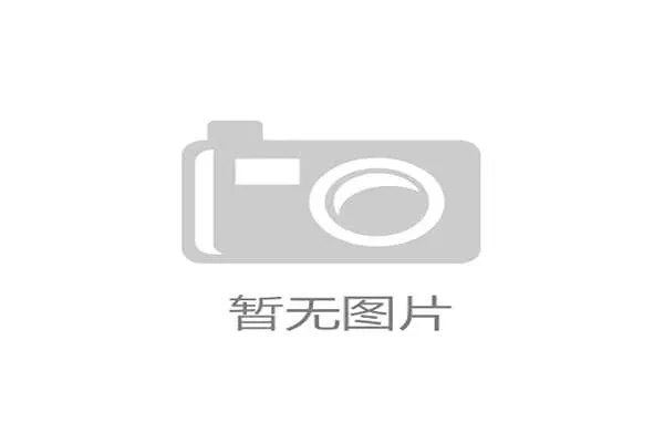 韩国美加墨世界杯表现前瞻与实力分析聚焦球队阵容战术及晋级前景